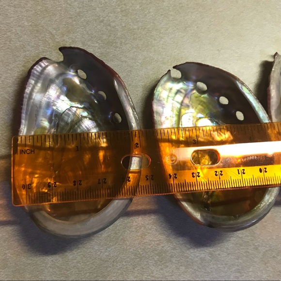 8 Genuine Abalone Shells - Picture 6 of 8